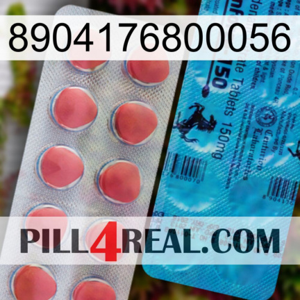 8904176800056 new14